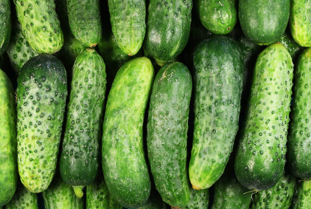 Raw Cucumbers